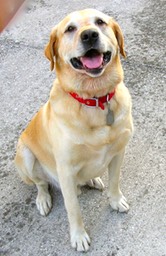 DSCN3116 - Versione 2